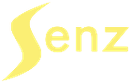 Senz Begeleiding